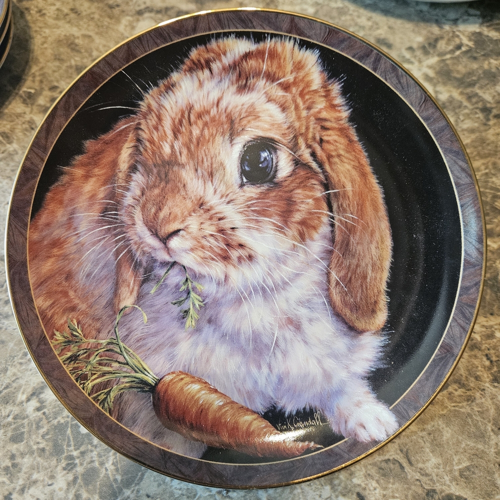 Adorable Bunny Decorative Plate